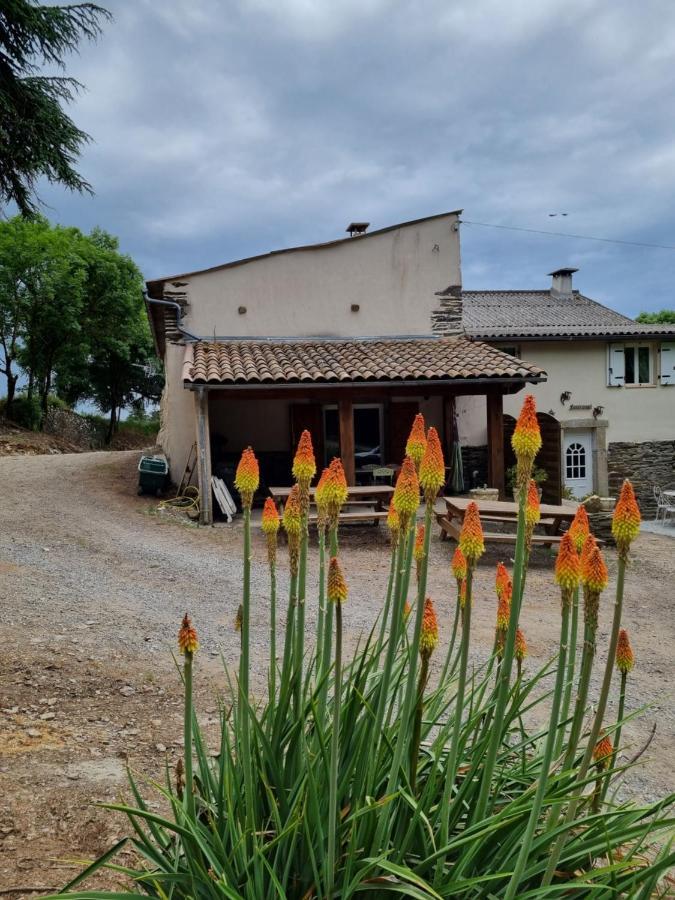 L'Oeil De Carcassonne Villa Caudebronde Luaran gambar